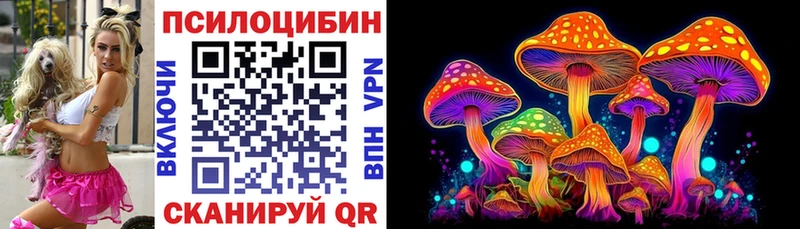 наркота  Болотное  Псилоцибиновые грибы мицелий 
